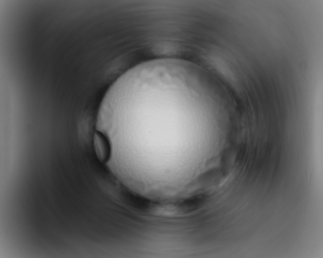 X0000094330171200711161957