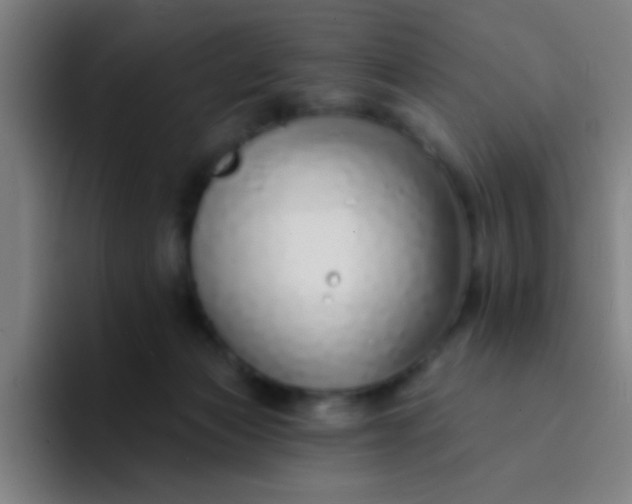 X0000094330173200711161957