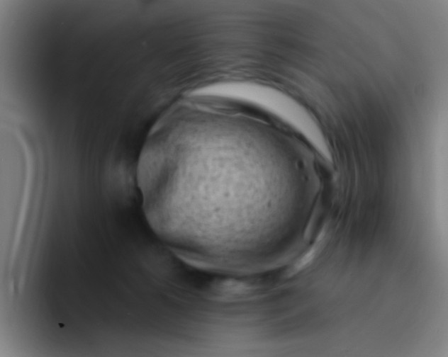 X0000094330180200711161957