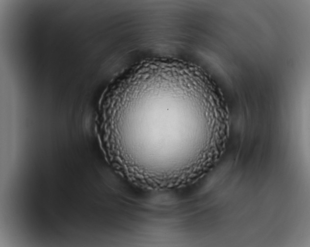 X0000094330185200711161957