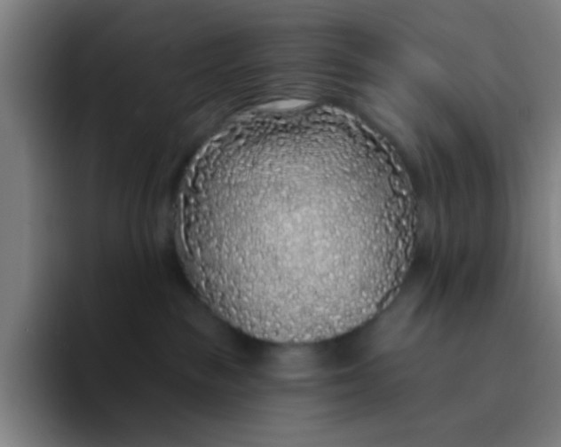 X0000094330189200711161957
