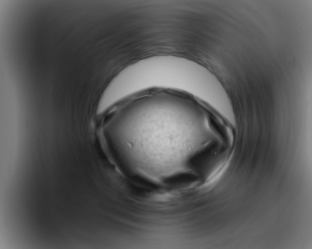 X0000094330190200711161957