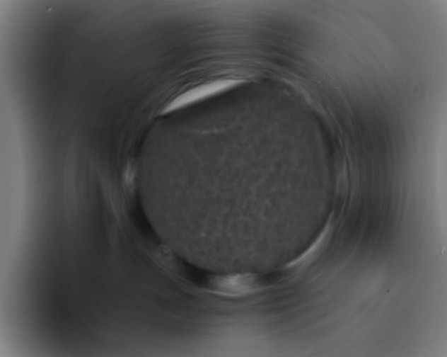 X0000094330191200711161957