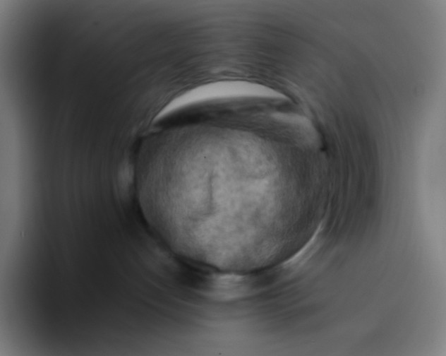 X0000094330192200711161957