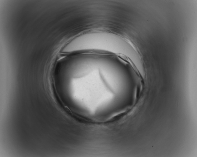 X0000094330193200711161956