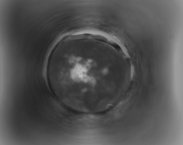 X0000094330195200711161956