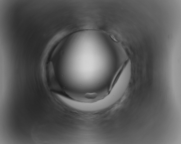 X0000094330197200711161956