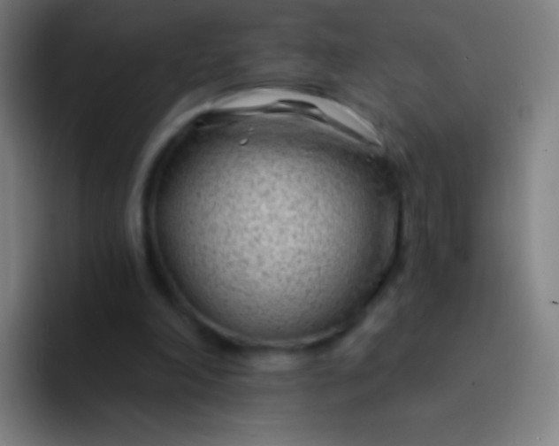 X0000094330198200711161956