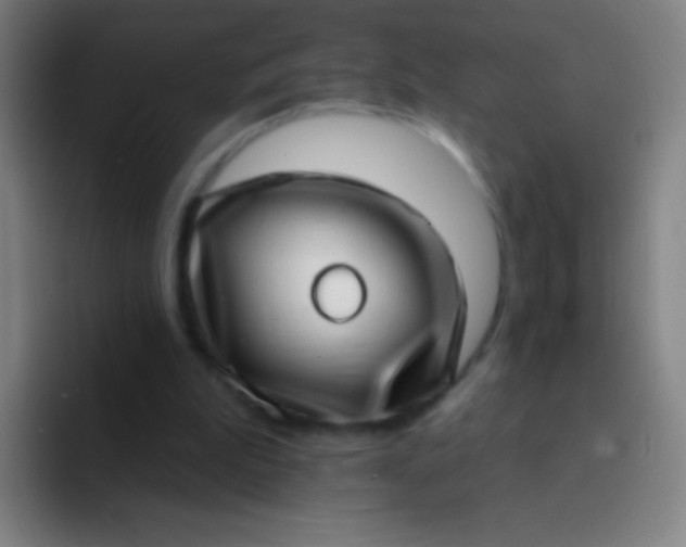 X0000094330199200711161956