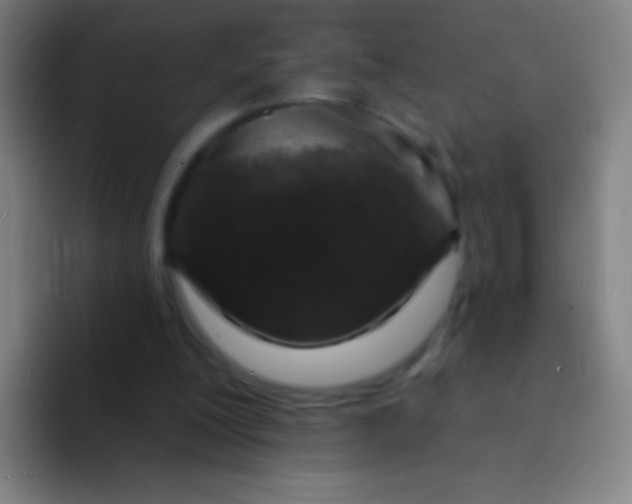 X0000094330200200711161956
