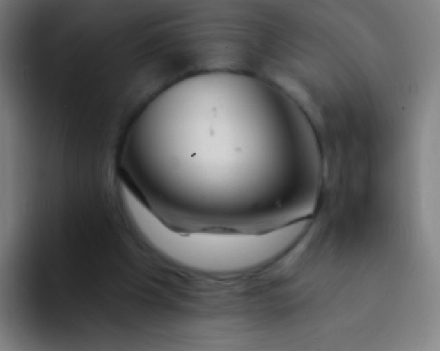 X0000094330201200711161956