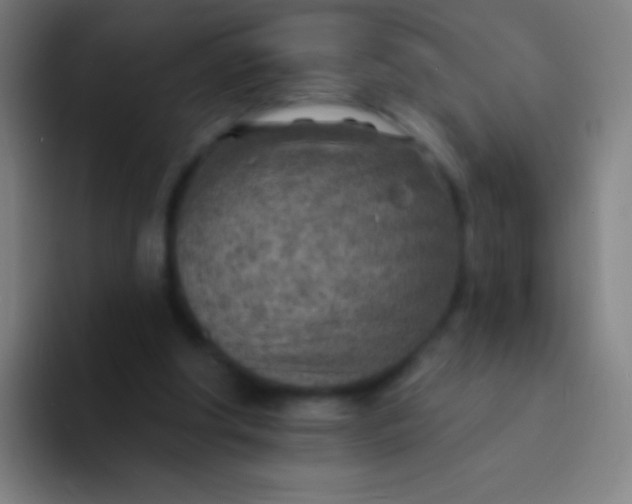 X0000094330202200711161956
