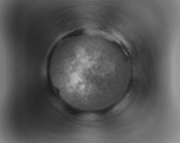 X0000094330203200711161956