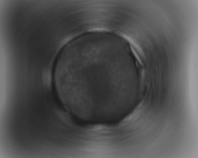 X0000094330204200711161956