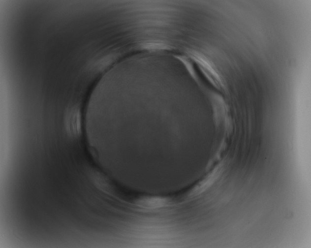 X0000094330205200711161956