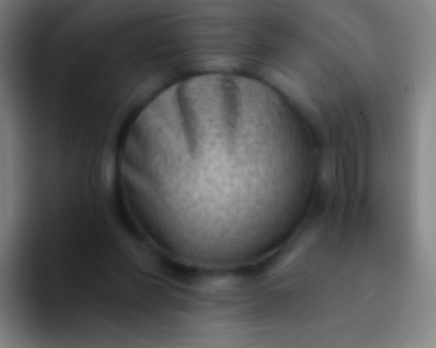 X0000094330206200711161956
