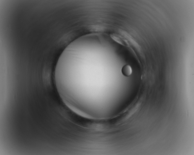 X0000094330209200711161956