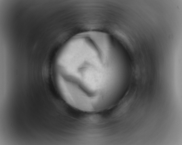 X0000094330210200711161956