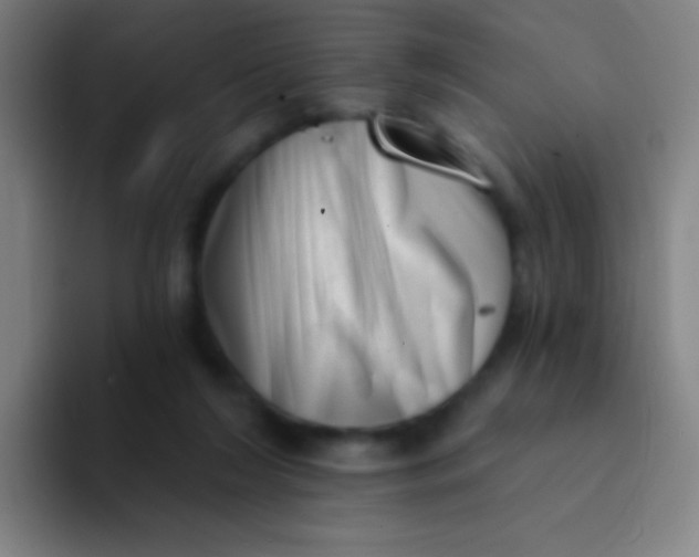 X0000094330212200711161956