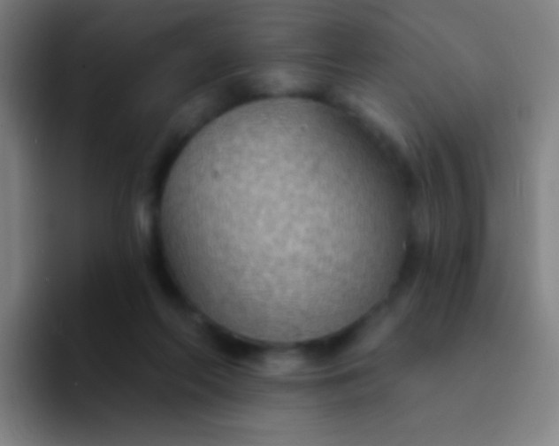 X0000094330214200711161956