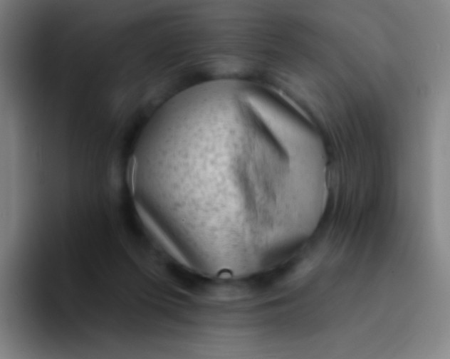X0000094330215200711161956