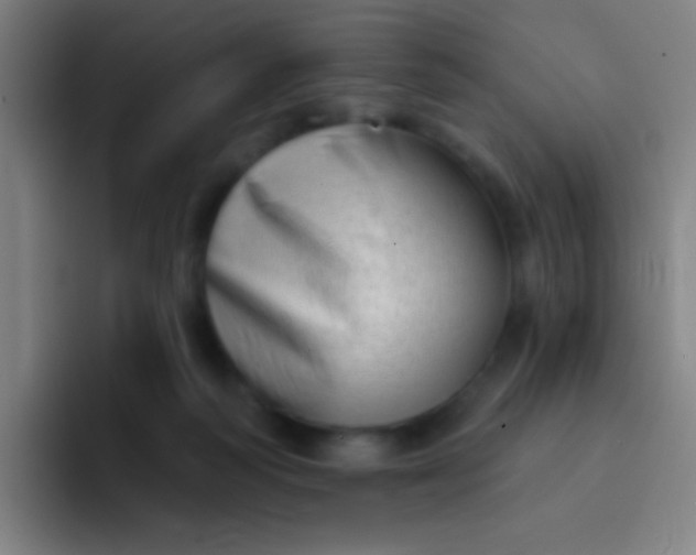 X0000094330218200711161956