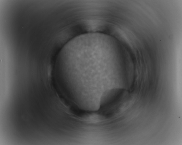 X0000094330219200711161956