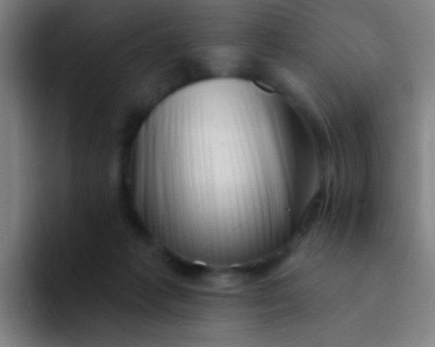 X0000094330221200711161956