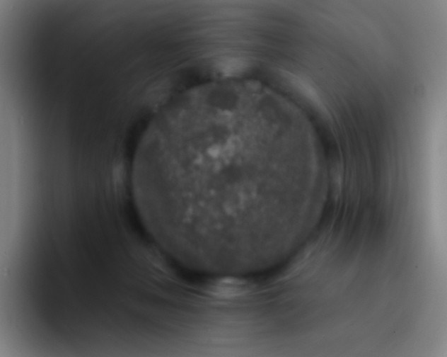 X0000094330222200711161956