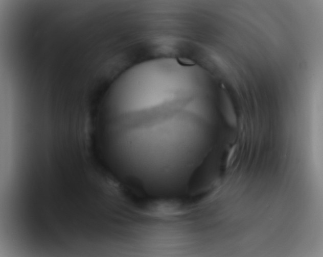 X0000094330223200711161956