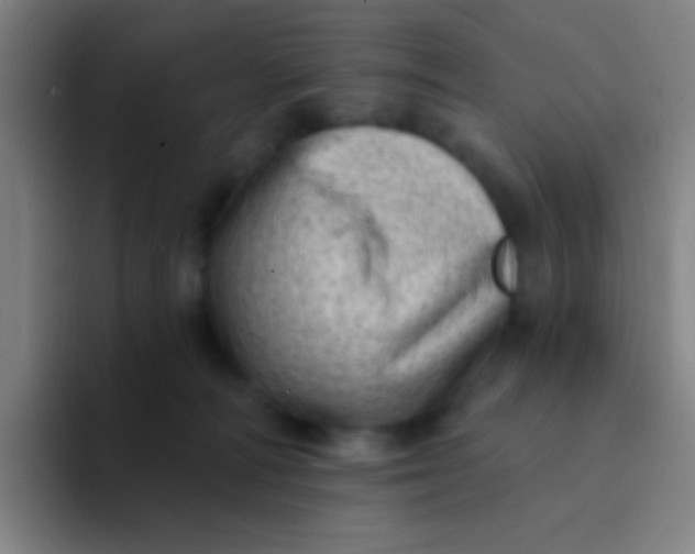 X0000094330226200711161956