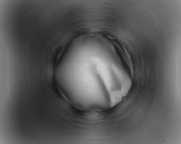 X0000094330230200711161956