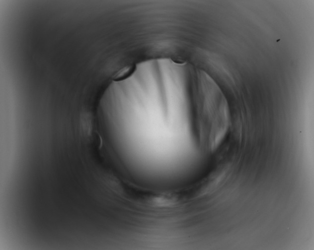 X0000094330232200711161956