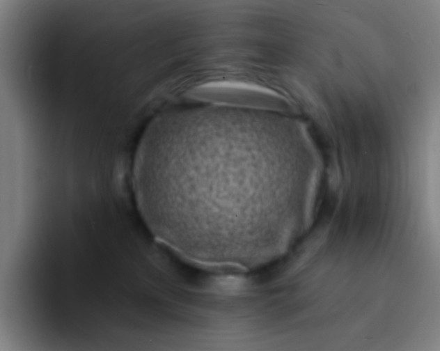 X0000094330233200711161956