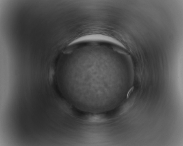 X0000094330235200711161956