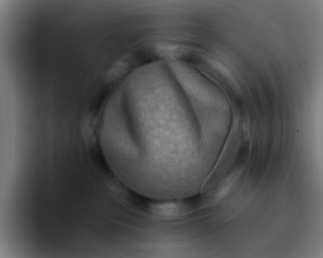 X0000094330237200711161956