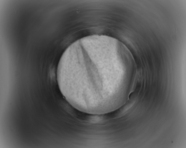 X0000094330238200711161956