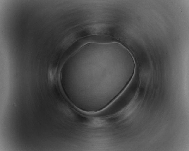 X0000094330239200711161956
