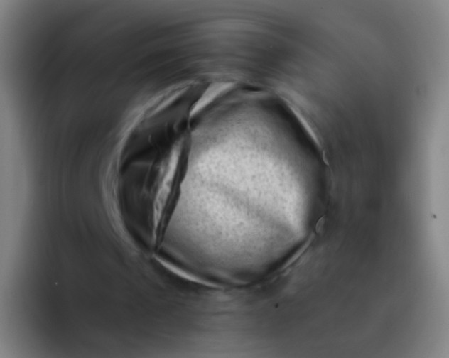 X0000094330241200711161955