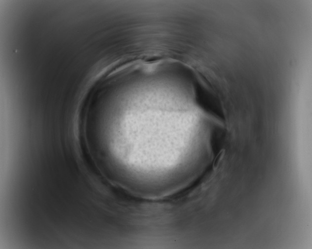 X0000094330242200711161955