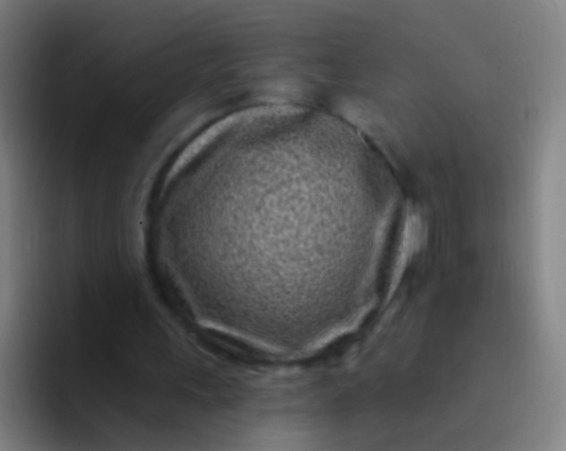 X0000094330243200711161955