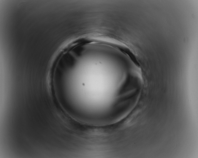 X0000094330244200711161955