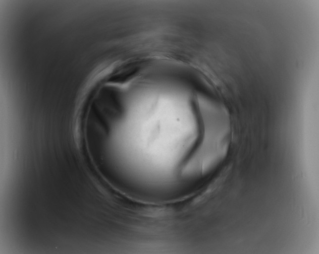 X0000094330245200711161955