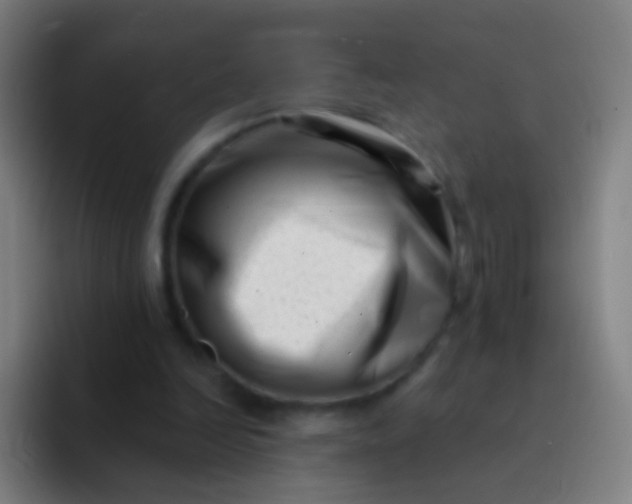 X0000094330246200711161955
