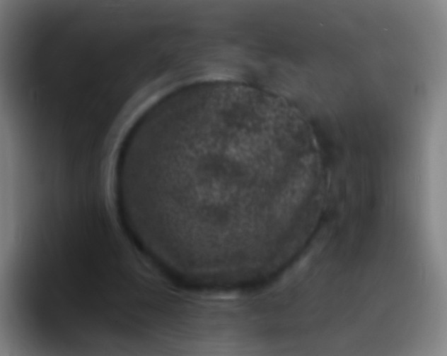 X0000094330247200711161955