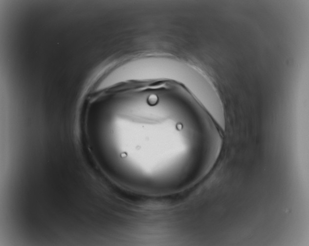 X0000094330248200711161955