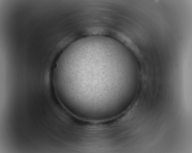 X0000094330250200711161955