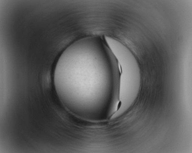 X0000094330251200711161955