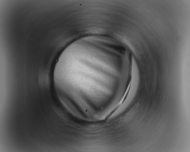 X0000094330252200711161955