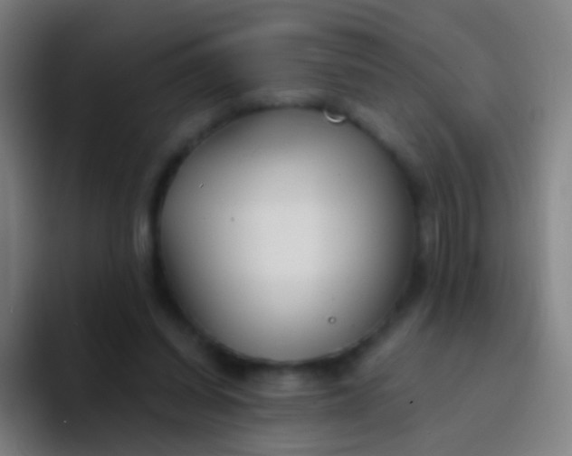 X0000094330254200711161955